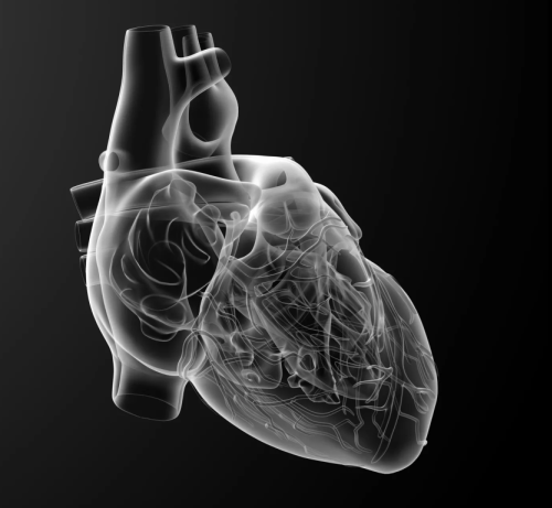 Enfermedades Cardiacas
